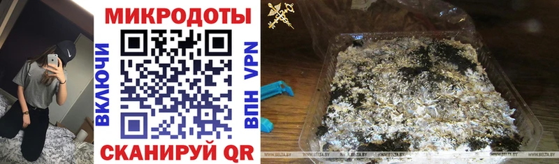 Купить закладки  Гаврилов Посад  Галлюциногенные грибы GOLDEN TEACHER 