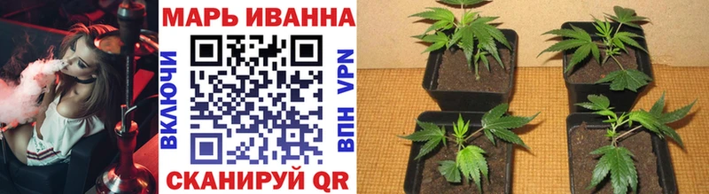 Купить где  Гаврилов Посад  Конопля THC 21% 